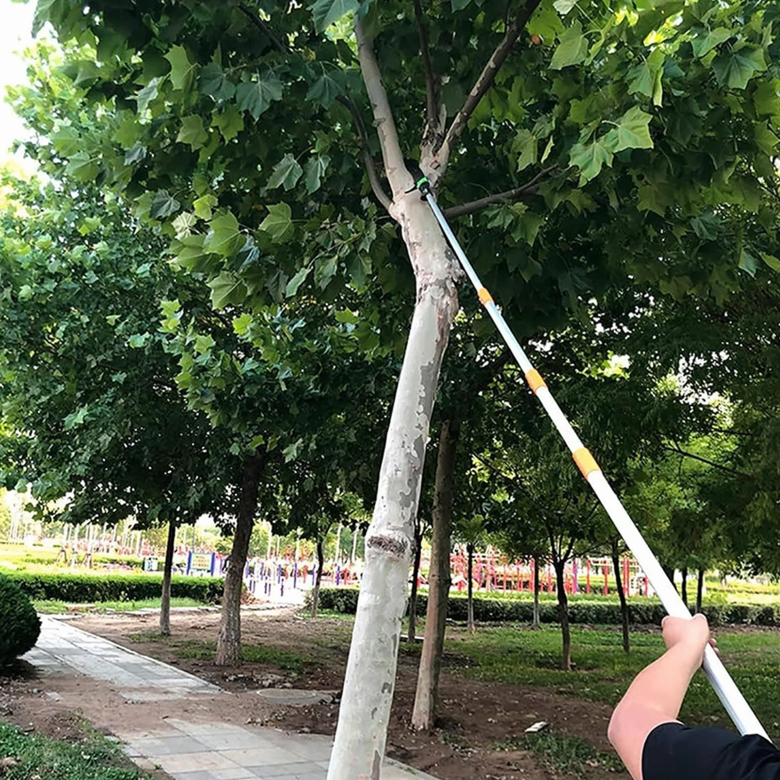 Scie à perche télescopique pour couper des branches - Scie à main de 3,7 m de long
